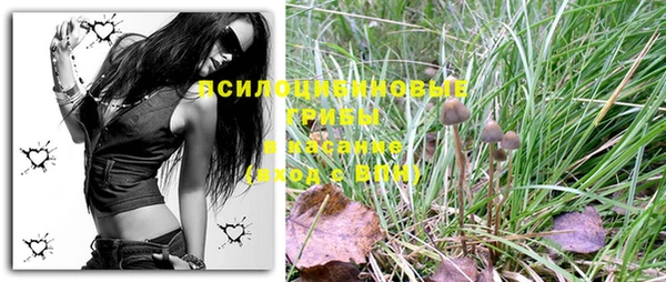 бошки Шадринск